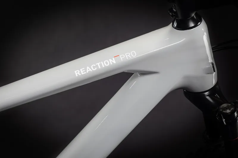 2021 Cube Reaction C:62 Pro Mountain Bike in Grey-5