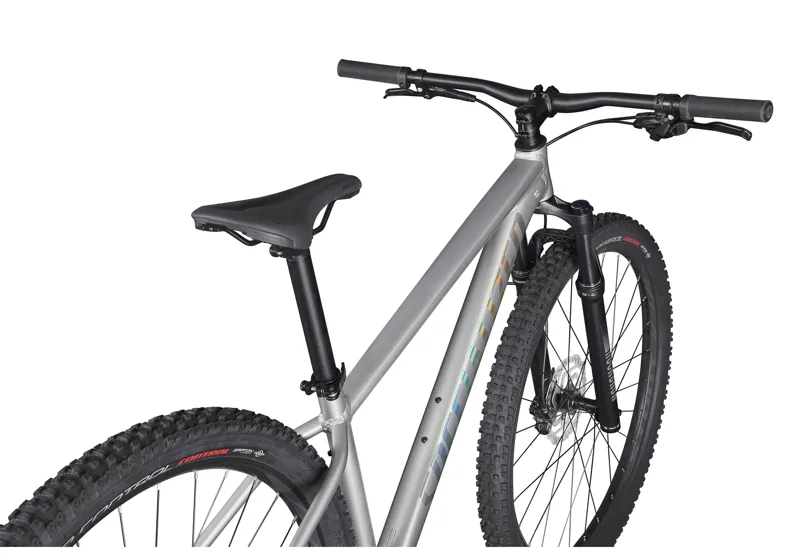 2021 Specialized Rockhopper Expert 29 Mountain Bike in Silver