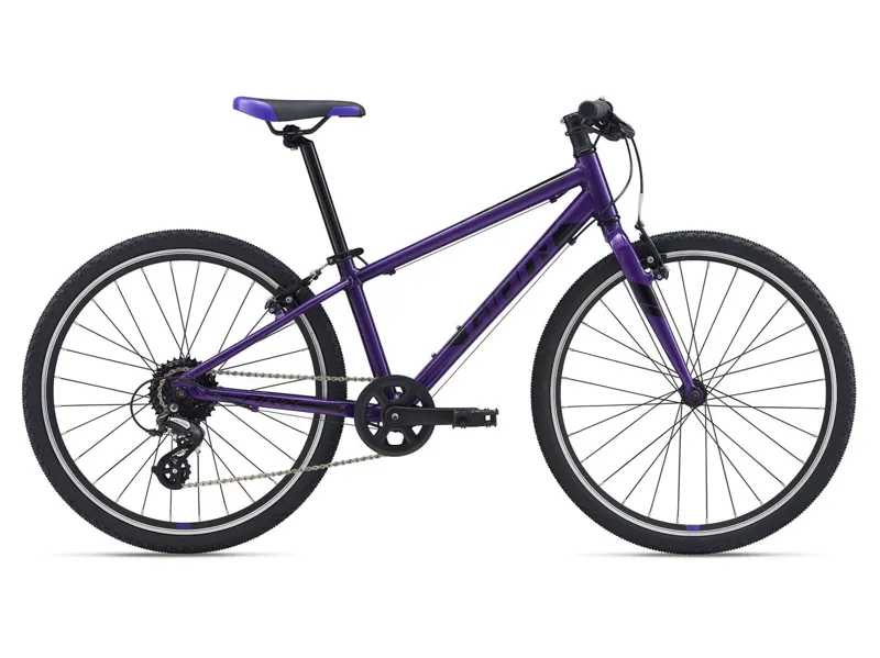 Kids Bike 24 Inch Giant Mountain Bikes XtC Jr 24 Lite