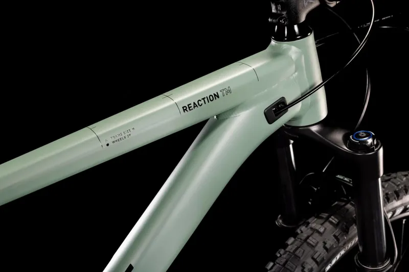 Cube Reaction TM Mountain Bike in Green-3
