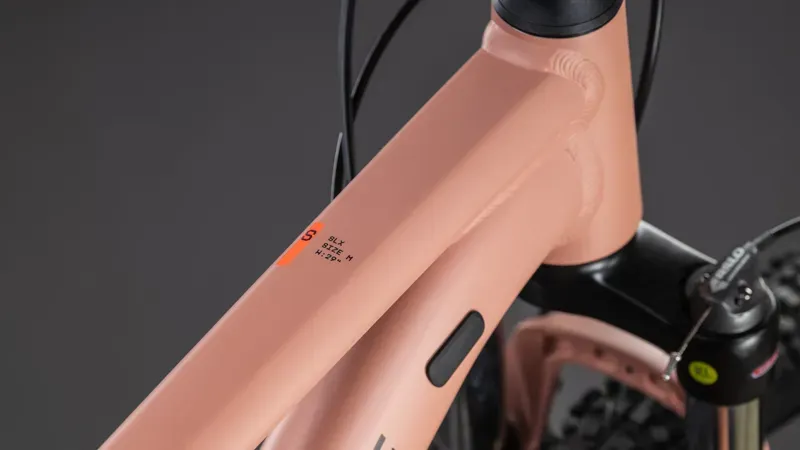 Cube Aim SLX Mountain Bike in Blush Rose/Black-2