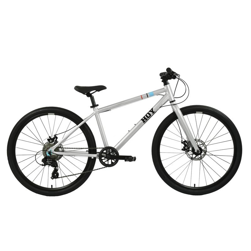 Hoy Pentland 26in Kids Bike in Titanium Silver