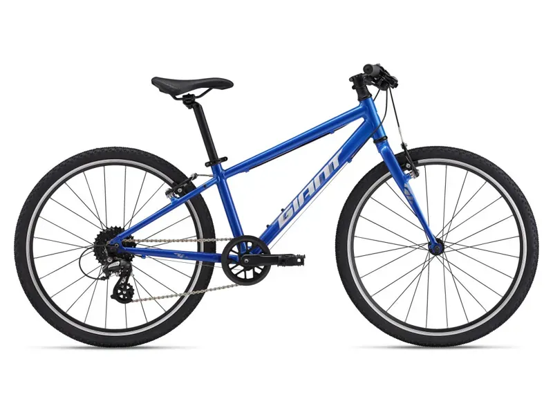 2025 Giant ARX 24 Kids Bike In Blue