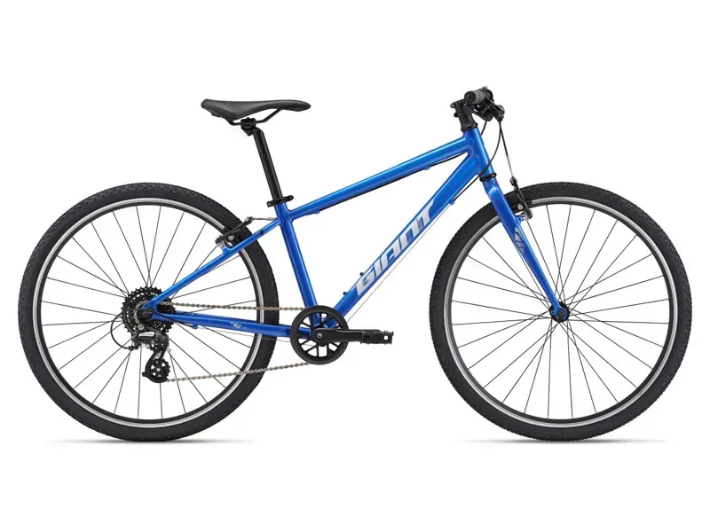 2025 Giant ARX 26 Kids Bike In Cobalt