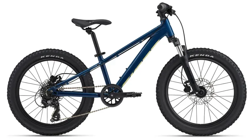 Giant kids bikes for sale shop
