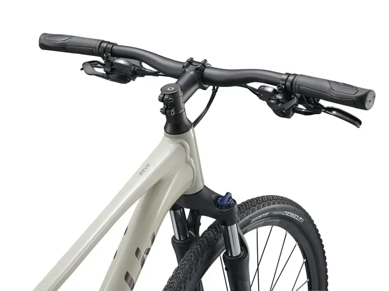 2025 Liv Rove 3 Gravel Bike in Pulp Gray-2