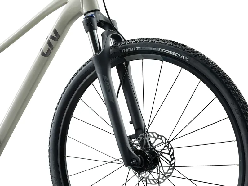 2025 Liv Rove 3 Gravel Bike in Pulp Gray-3