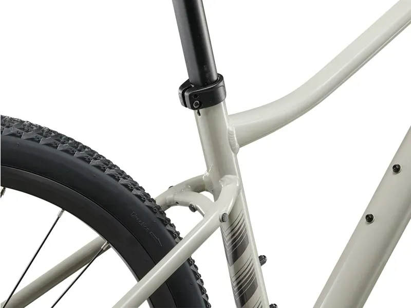 2025 Liv Rove 3 Gravel Bike in Pulp Gray-4