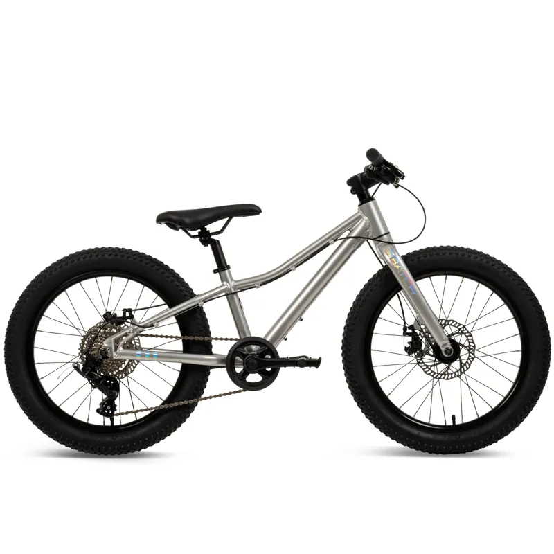 Batch Kids MTB 20 inch wheel in Silver