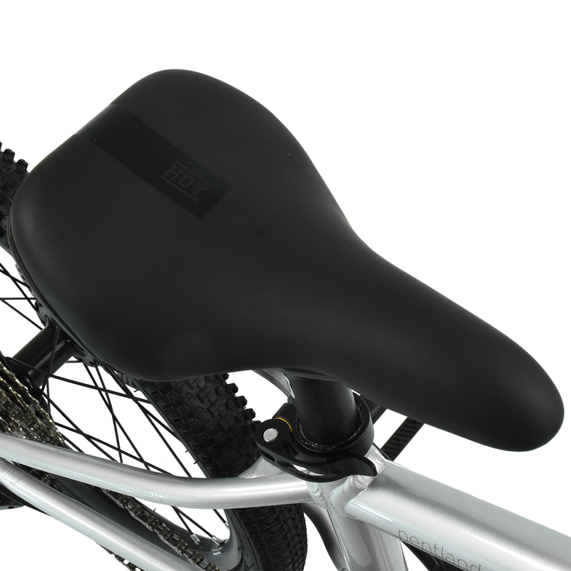 Hoy Pentland 20in Kids Bike in Titanium Silver-9