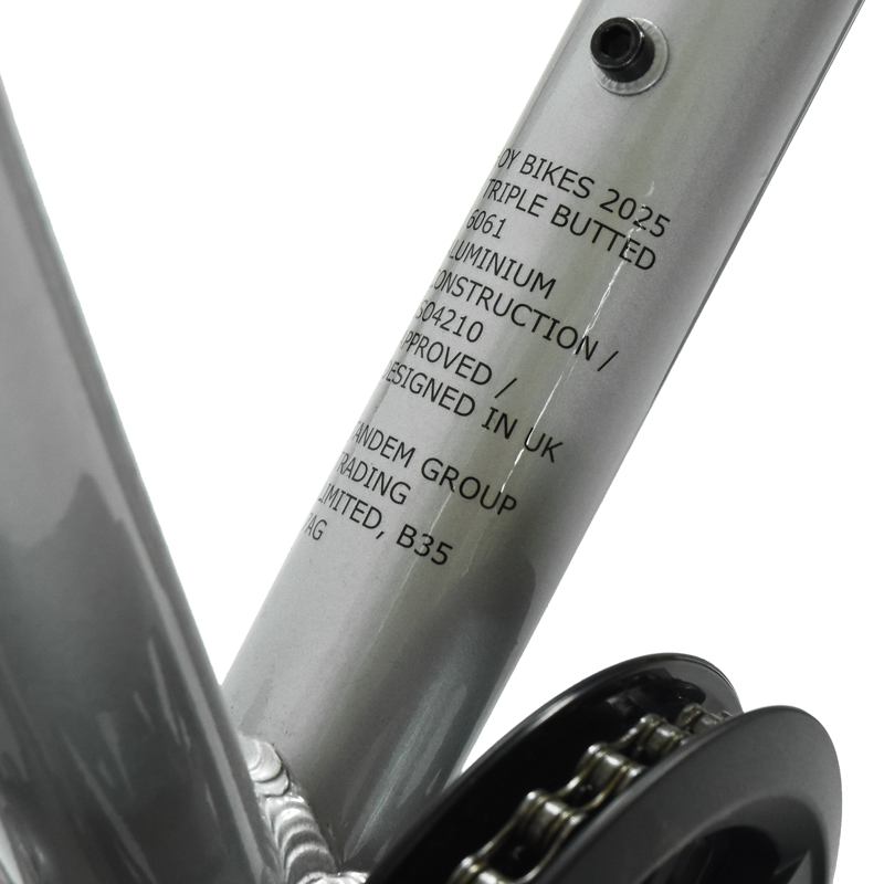 Hoy Pentland 20in Kids Bike in Titanium Silver-12