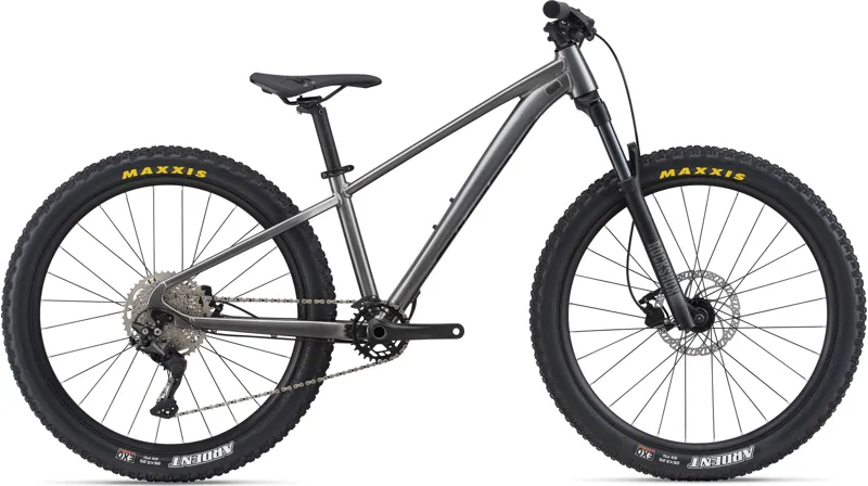 What year is my giant bike online