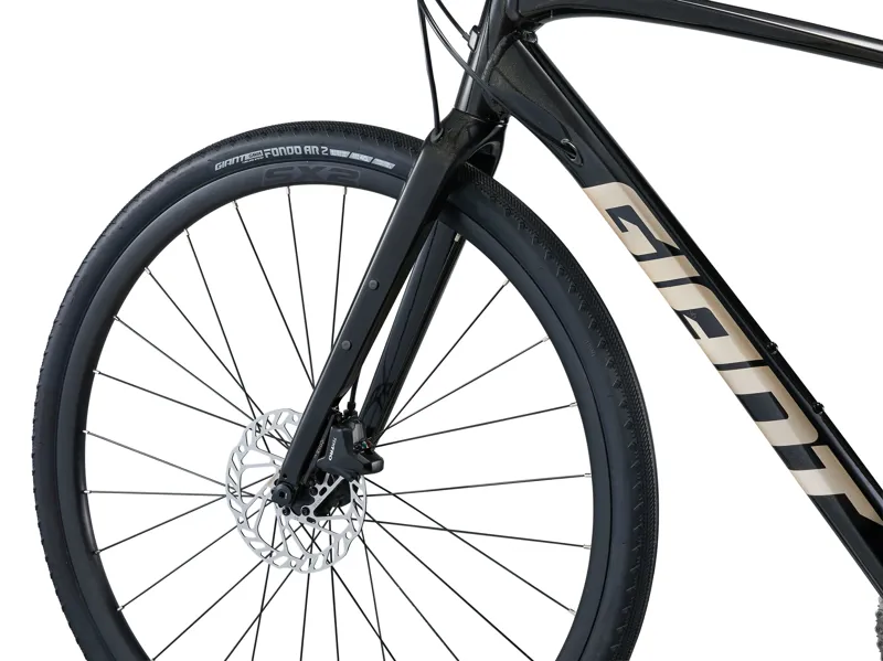 Giant FastRoad AR 2 in Panther-1