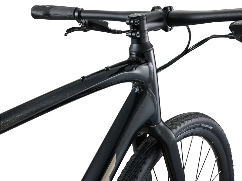 Giant FastRoad AR 2 in Panther-2