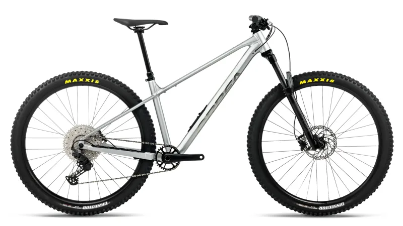 2027 Orbea Laufey H30 in Smooth Silver Matt - Titanium